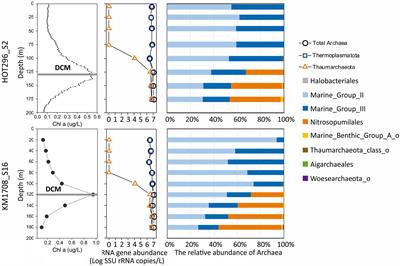 Planktonic Archaeal Ether Lipid Origins in Surface Waters of the North Pacific Subtropical Gyre